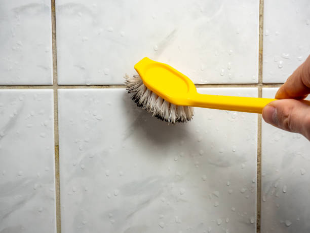Best Mold Remediation for Schools in North Lakeville, MA