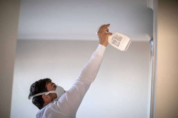 Best Bathroom Mold Remediation in North Lakeville, MA